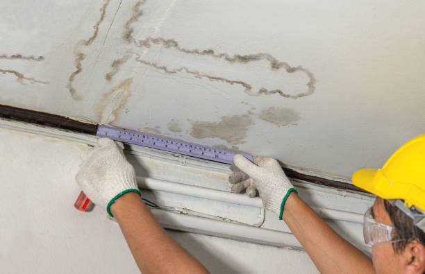 Reliable Mold Remediation contractor in Heber City, UT by Water Damage Irwin
